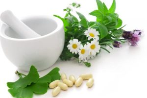 curso de plantas medicinales