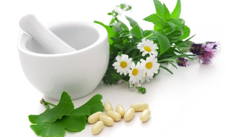 curso de plantas medicinales