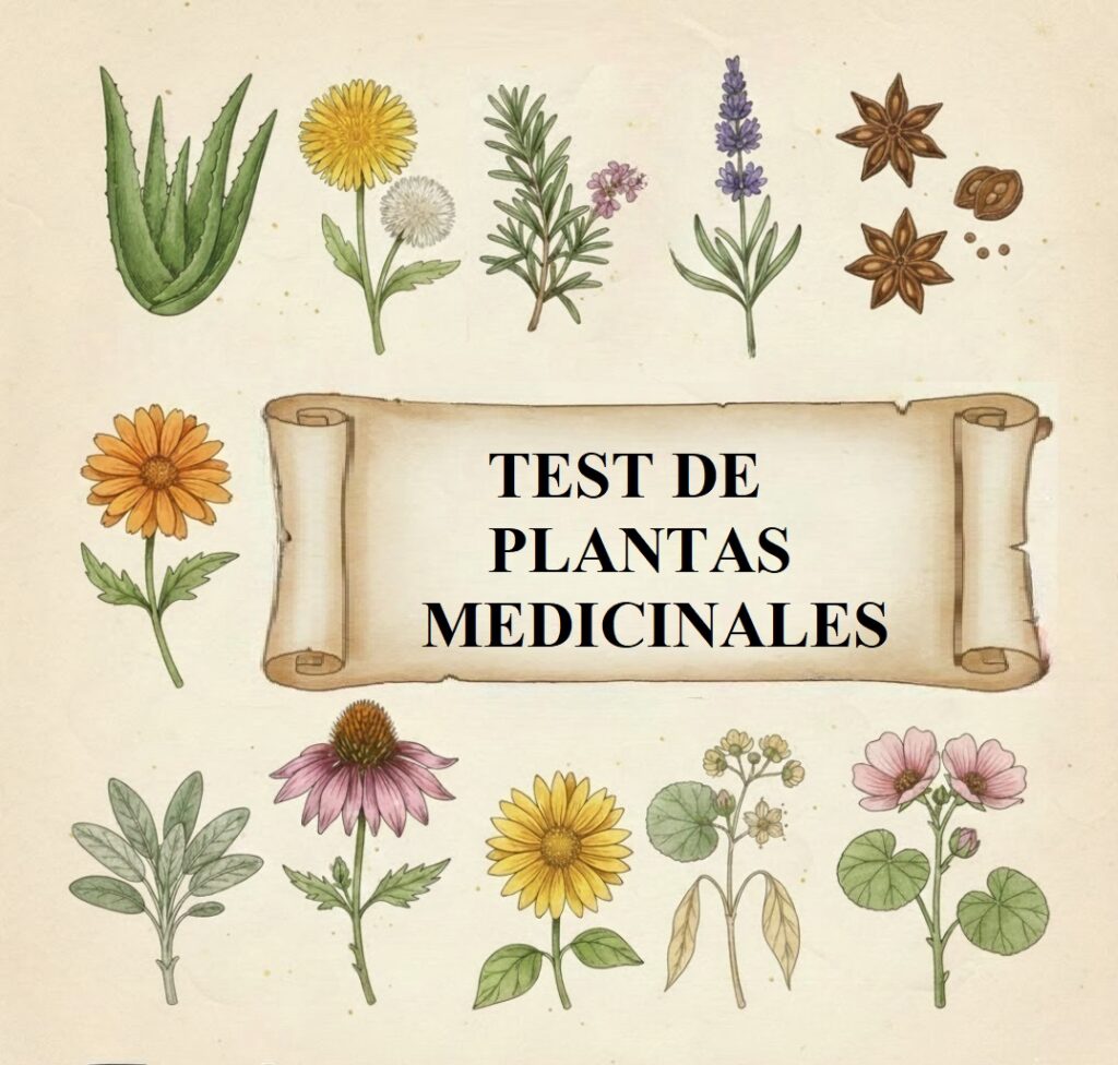 Test de plantas medicinales