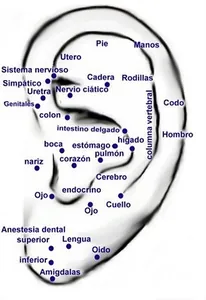Curso de Auriculoterapia