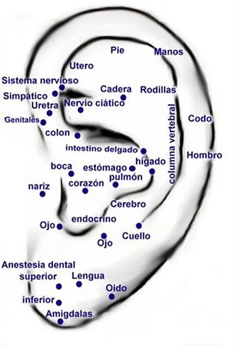 Curso de Auriculoterapia