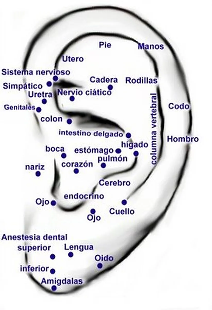 Curso de Auriculoterapia