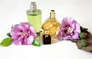 curso de perfumeria