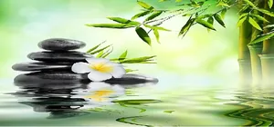 curso feng shui