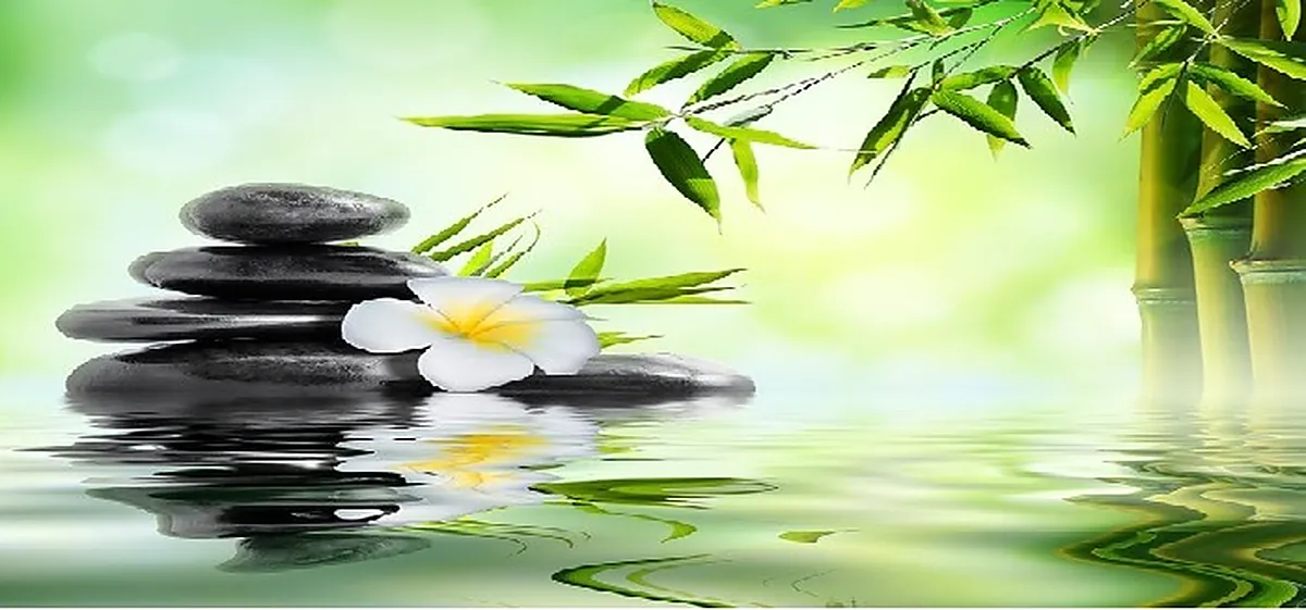 curso feng shui