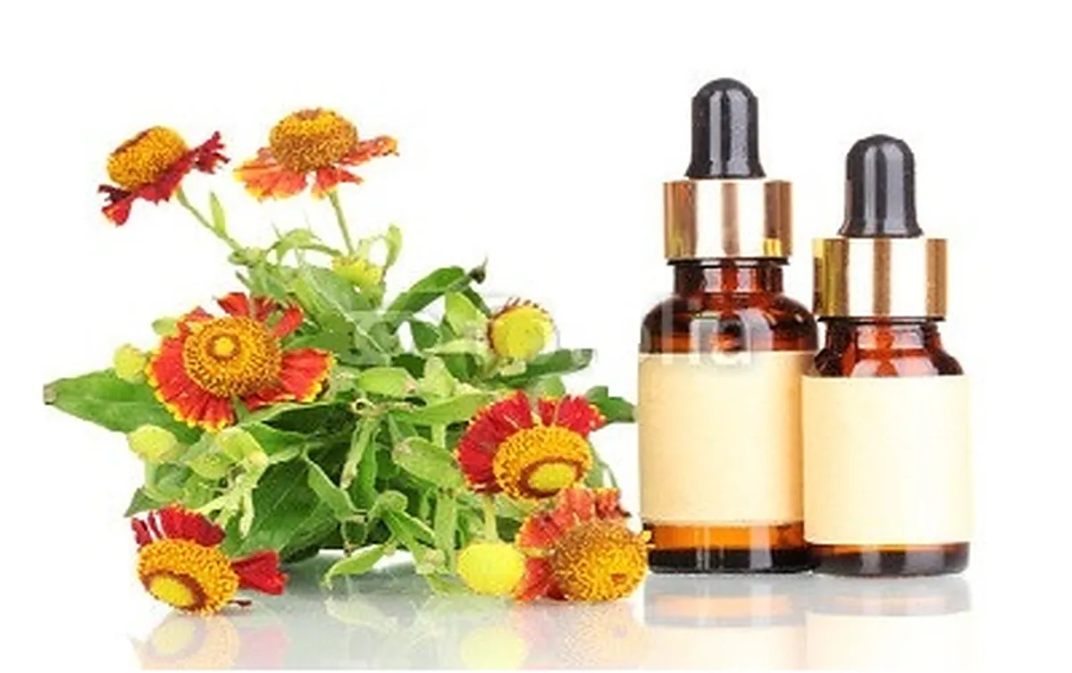 Curso Flores de Bach online
